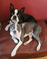 processed/e5bd8600-d475-44ed-b516-88296131838d/listing/a754d684-fe5c-4207-b35f-b7ac2ee22540/b5185ed9-dbea-4c56-87a9-c7a44b5fbe5b