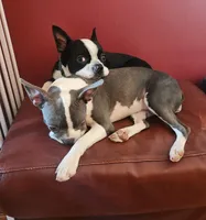 processed/e5bd8600-d475-44ed-b516-88296131838d/listing/a754d684-fe5c-4207-b35f-b7ac2ee22540/cca2af40-4e51-4e2e-b756-bb34962c80b6