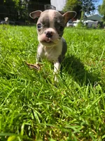 processed/e5bd8600-d475-44ed-b516-88296131838d/listing/a754d684-fe5c-4207-b35f-b7ac2ee22540/e450fe8c-b828-41f4-97a6-04ff3beb327f