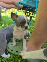 processed/e5bd8600-d475-44ed-b516-88296131838d/listing/a754d684-fe5c-4207-b35f-b7ac2ee22540/f9bae770-5604-4d32-b9c4-23d9a122e8e3