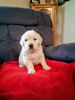 processed/e5c59fa2-2229-4f77-9e3e-d9eaa58d539e/listing/3006a53d-0015-44cb-bc87-11648003c828/283334ec-5cb6-4d46-bba9-08c56327596a