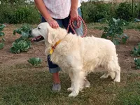 processed/e5c59fa2-2229-4f77-9e3e-d9eaa58d539e/listing/3006a53d-0015-44cb-bc87-11648003c828/44dd4f9c-d132-4469-9dcf-aba769d5e879