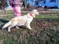 processed/e5c59fa2-2229-4f77-9e3e-d9eaa58d539e/listing/3006a53d-0015-44cb-bc87-11648003c828/4d4c3607-8fc5-4eaf-bdc2-213dd8abb19f