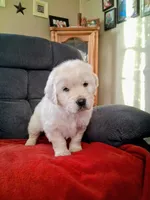 processed/e5c59fa2-2229-4f77-9e3e-d9eaa58d539e/listing/3006a53d-0015-44cb-bc87-11648003c828/bc848a93-648c-4794-a727-65fd9dfd93af