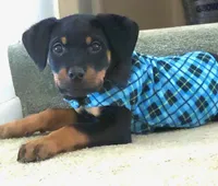 processed/e5e2022a-7e3c-460a-aba3-9735c000bee2/listing/85995974-7b61-467b-8921-4670987bd7b1/7617c079-8b3a-42e7-9269-653050ad1c01