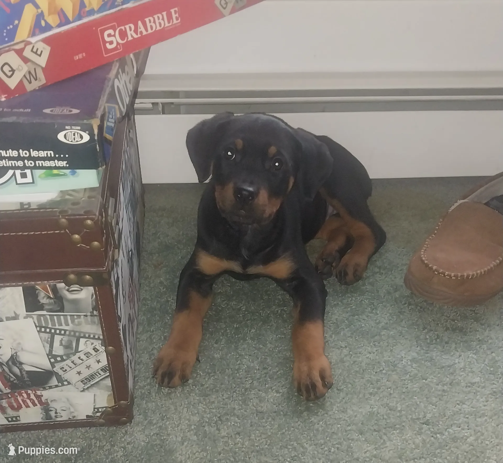 processed/e5e2022a-7e3c-460a-aba3-9735c000bee2/listing/85995974-7b61-467b-8921-4670987bd7b1/c3616da0-6e44-4793-8a02-940084db28c3