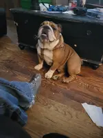 processed/e5e3e2c4-0543-47b7-99a3-afdd6d022153/facility/63786a84-90f1-469a-b3bc-c4735b6520f0