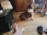 processed/e5e3e2c4-0543-47b7-99a3-afdd6d022153/facility/bdd48ce3-339c-48c9-99b5-736269a11f4e