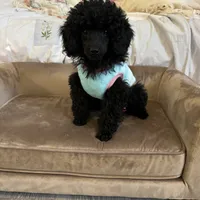 processed/e5e95ab8-8840-41dc-a822-fe9fd2d351f0/facility/30f99e0c-a717-4dcc-98ac-49b04d0f627a