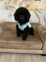 processed/e5e95ab8-8840-41dc-a822-fe9fd2d351f0/facility/30f99e0c-a717-4dcc-98ac-49b04d0f627a