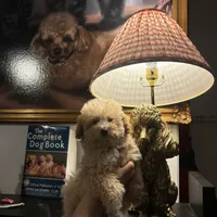 processed/e5e95ab8-8840-41dc-a822-fe9fd2d351f0/facility/32c470e4-ab7e-44c9-b61b-6f2ba1d863c7