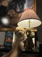 processed/e5e95ab8-8840-41dc-a822-fe9fd2d351f0/facility/32c470e4-ab7e-44c9-b61b-6f2ba1d863c7