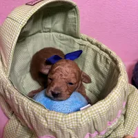 processed/e5e95ab8-8840-41dc-a822-fe9fd2d351f0/facility/3ffd9bc6-8441-445a-bee3-4c2375ecd1d9