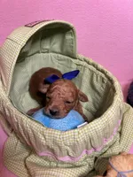 processed/e5e95ab8-8840-41dc-a822-fe9fd2d351f0/facility/3ffd9bc6-8441-445a-bee3-4c2375ecd1d9