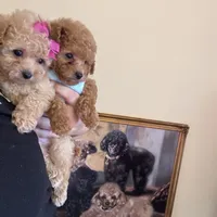 processed/e5e95ab8-8840-41dc-a822-fe9fd2d351f0/facility/60be83b9-384a-440f-80b2-f3f38895e1ba