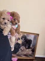 processed/e5e95ab8-8840-41dc-a822-fe9fd2d351f0/facility/60be83b9-384a-440f-80b2-f3f38895e1ba