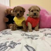 processed/e5e95ab8-8840-41dc-a822-fe9fd2d351f0/facility/6501f9c6-e60c-4def-9127-26d4b8ed2411