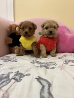 processed/e5e95ab8-8840-41dc-a822-fe9fd2d351f0/facility/6501f9c6-e60c-4def-9127-26d4b8ed2411