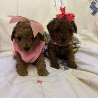 processed/e5e95ab8-8840-41dc-a822-fe9fd2d351f0/facility/8b49d90c-ee48-4083-8b6b-ad3b391d72c2