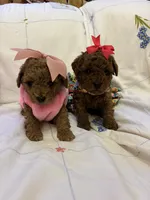 processed/e5e95ab8-8840-41dc-a822-fe9fd2d351f0/facility/8b49d90c-ee48-4083-8b6b-ad3b391d72c2