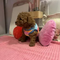 processed/e5e95ab8-8840-41dc-a822-fe9fd2d351f0/facility/9717c443-9a4e-4fd4-85cc-f85f9a5a1334