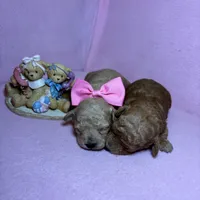 processed/e5e95ab8-8840-41dc-a822-fe9fd2d351f0/facility/a23123be-769d-4964-9ddb-102c34aabc1b