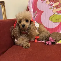 processed/e5e95ab8-8840-41dc-a822-fe9fd2d351f0/facility/b9bd28ef-6318-4f02-8def-49709fcdd1b8