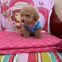 processed/e5e95ab8-8840-41dc-a822-fe9fd2d351f0/facility/d9669831-b07d-4704-ac8e-9c3310ecd433