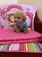 processed/e5e95ab8-8840-41dc-a822-fe9fd2d351f0/facility/d9669831-b07d-4704-ac8e-9c3310ecd433