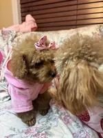 processed/e5e95ab8-8840-41dc-a822-fe9fd2d351f0/listing/6e08144f-78c6-44ad-84de-e7fb38e12dd4/5b3463bc-4446-485e-bb42-60a5c900b36a