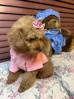 processed/e5e95ab8-8840-41dc-a822-fe9fd2d351f0/listing/6e08144f-78c6-44ad-84de-e7fb38e12dd4/6ab58245-e60d-4168-b2a2-b74dcd1dc631