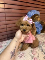 processed/e5e95ab8-8840-41dc-a822-fe9fd2d351f0/listing/6e08144f-78c6-44ad-84de-e7fb38e12dd4/964e096a-4b87-4ee6-9614-2abd1ef00474