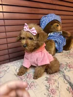 processed/e5e95ab8-8840-41dc-a822-fe9fd2d351f0/listing/6e08144f-78c6-44ad-84de-e7fb38e12dd4/f8aeaa7c-b13b-4412-b4a0-331c15abbb63