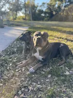 processed/e5e9eb81-e513-4bbb-b83a-218a0a57c108/listing/157e9d6c-643d-4497-9d9d-108c31c485a3/4ba5f5a4-5532-424f-a07c-8f3262a0c87d