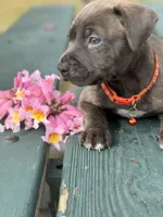 processed/e5e9eb81-e513-4bbb-b83a-218a0a57c108/listing/157e9d6c-643d-4497-9d9d-108c31c485a3/605cc0f9-5714-40ff-bfe6-f6ec47b766fe