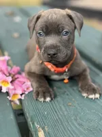 processed/e5e9eb81-e513-4bbb-b83a-218a0a57c108/listing/157e9d6c-643d-4497-9d9d-108c31c485a3/d41d2633-47fa-437b-a4b9-2c5f90953735