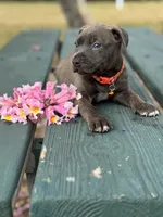 processed/e5e9eb81-e513-4bbb-b83a-218a0a57c108/listing/157e9d6c-643d-4497-9d9d-108c31c485a3/fdbfaaed-049f-4ec4-84ef-100f1640230b