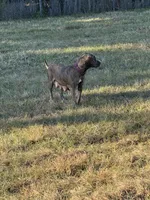 processed/e5e9eb81-e513-4bbb-b83a-218a0a57c108/listing/339a5068-78b7-4ac5-b23d-d49288212073/1041c02c-844c-4e03-96a0-138ca4f23eb3