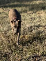 processed/e5e9eb81-e513-4bbb-b83a-218a0a57c108/listing/339a5068-78b7-4ac5-b23d-d49288212073/c9b0377b-e198-48bd-bcdd-b569ffffec40