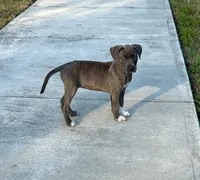 processed/e5e9eb81-e513-4bbb-b83a-218a0a57c108/listing/339a5068-78b7-4ac5-b23d-d49288212073/cabd9e8c-f007-4f4a-8aaa-d06c44c2c47b