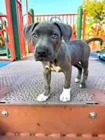 processed/e5e9eb81-e513-4bbb-b83a-218a0a57c108/listing/339a5068-78b7-4ac5-b23d-d49288212073/cc705542-c537-4dcb-bfe2-dd4071fd170d