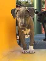 processed/e5e9eb81-e513-4bbb-b83a-218a0a57c108/listing/339a5068-78b7-4ac5-b23d-d49288212073/e62d1d98-fad0-4369-b800-d6e2d7e2fc9a