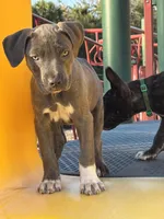 processed/e5e9eb81-e513-4bbb-b83a-218a0a57c108/listing/339a5068-78b7-4ac5-b23d-d49288212073/eba05751-37d7-43b9-9750-0144475621e7