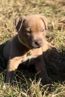 processed/e5e9eb81-e513-4bbb-b83a-218a0a57c108/listing/a71dbb07-a9af-453e-8e78-ffb0fb1eb30b/08279cc5-6b9f-4aa8-8b4f-77d49d4c1763