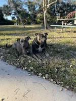 processed/e5e9eb81-e513-4bbb-b83a-218a0a57c108/listing/a71dbb07-a9af-453e-8e78-ffb0fb1eb30b/8fee6c98-cfe4-459a-a485-8ffe992f1645