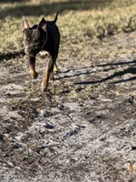 processed/e5e9eb81-e513-4bbb-b83a-218a0a57c108/listing/a71dbb07-a9af-453e-8e78-ffb0fb1eb30b/ad95e734-c242-420e-a722-5aa99862e624