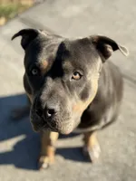 processed/e5e9eb81-e513-4bbb-b83a-218a0a57c108/listing/a71dbb07-a9af-453e-8e78-ffb0fb1eb30b/cc4b98aa-169f-4c1b-ac6b-11226034dd50