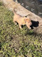 processed/e5e9eb81-e513-4bbb-b83a-218a0a57c108/listing/a71dbb07-a9af-453e-8e78-ffb0fb1eb30b/f2bf3bba-9677-4db9-9329-41a7befada40