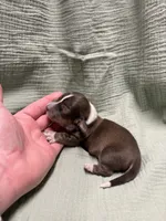 processed/e5ea98e2-44e5-45a1-a297-0bce53b369d0/listing/e99964a5-2255-4603-8a85-35136ac08743/162fe36f-3d81-44a0-b48c-42cffadf51d7