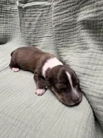 processed/e5ea98e2-44e5-45a1-a297-0bce53b369d0/listing/e99964a5-2255-4603-8a85-35136ac08743/2137d080-192a-4e7d-ac18-67b278d9c2d2